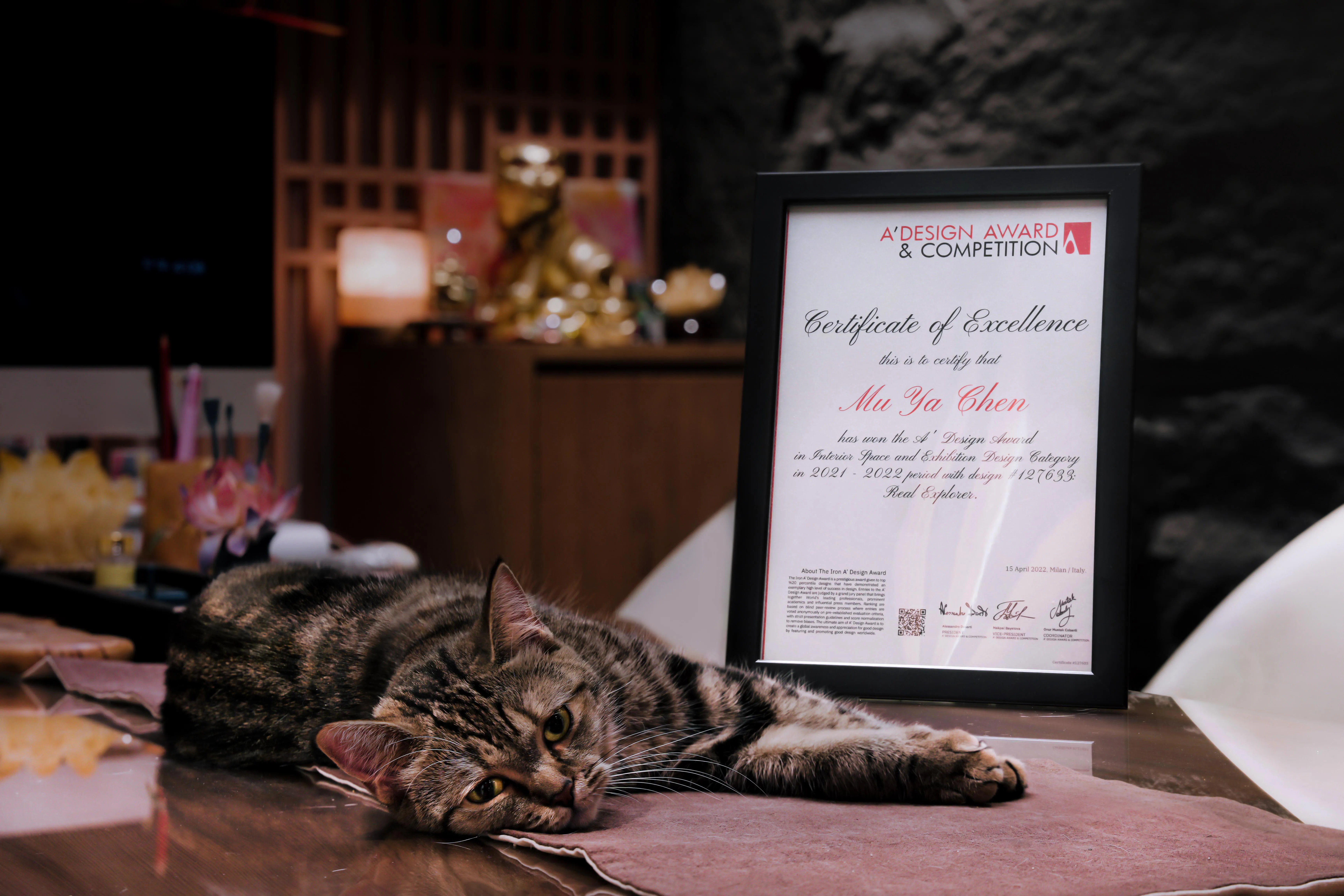 《 2021-2022 A'Design Award 室內空間&展覽設計獎 》Real Explorer拓荒者真美式