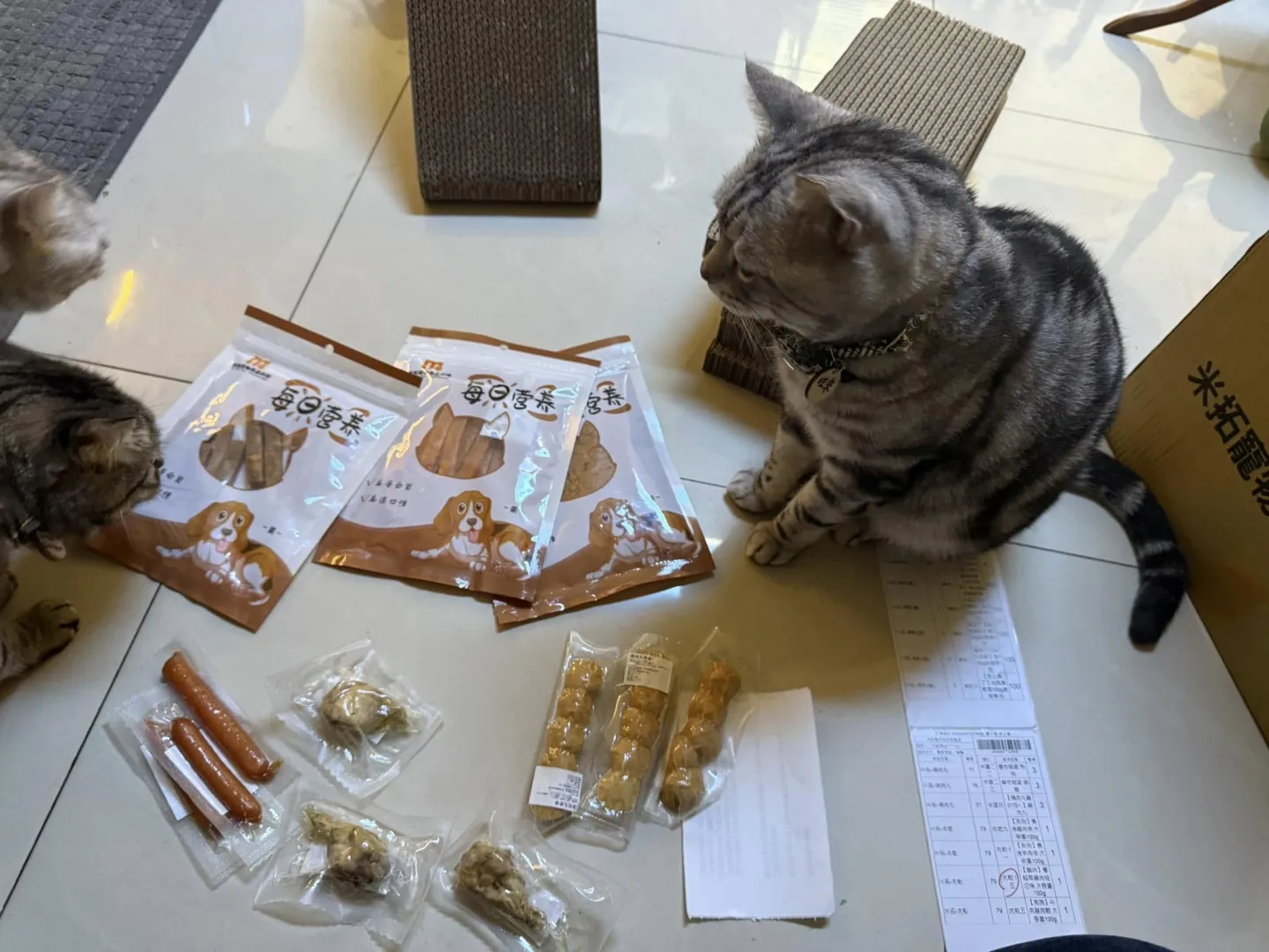 你知道嗎？你家的裝修，可能正在慢慢傷害你的孩子與寵物？