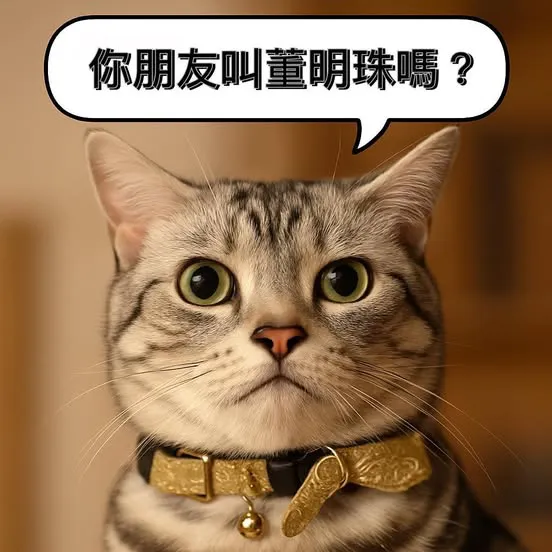 「你們太貴了，我朋友說十幾萬就能做」…你朋友叫董明珠？那你怎麼不請他做？｜大貓設計師真心話 #3