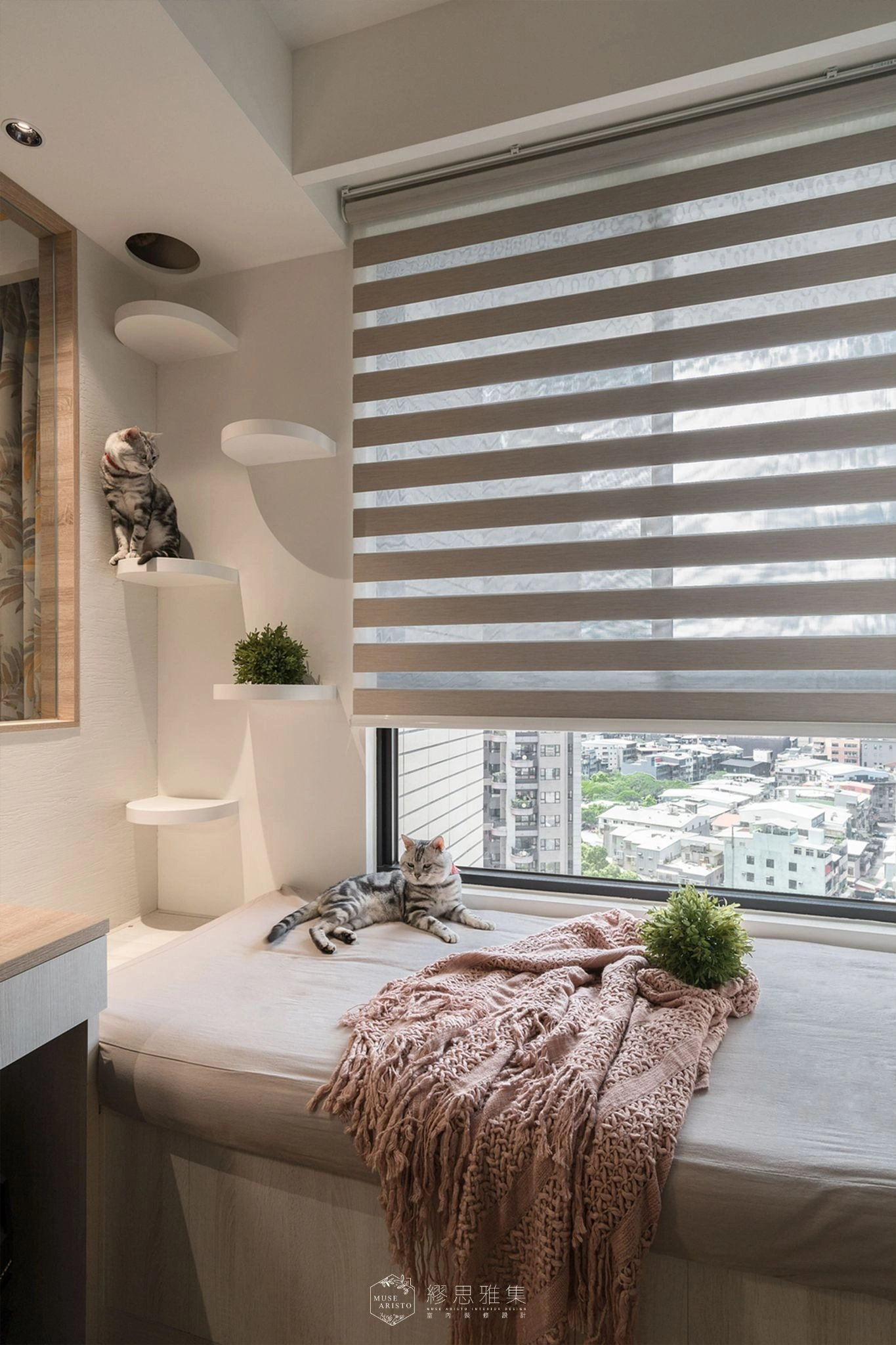 MUSE ARISTO 繆思雅集結合綠裝修經驗,打造出低毒寵物健康宅實品屋