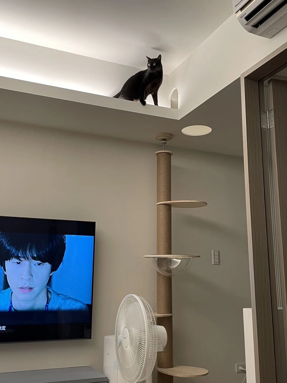 MUSE ARISTO 繆思雅集結合綠裝修經驗,打造出低毒寵物健康宅實品屋