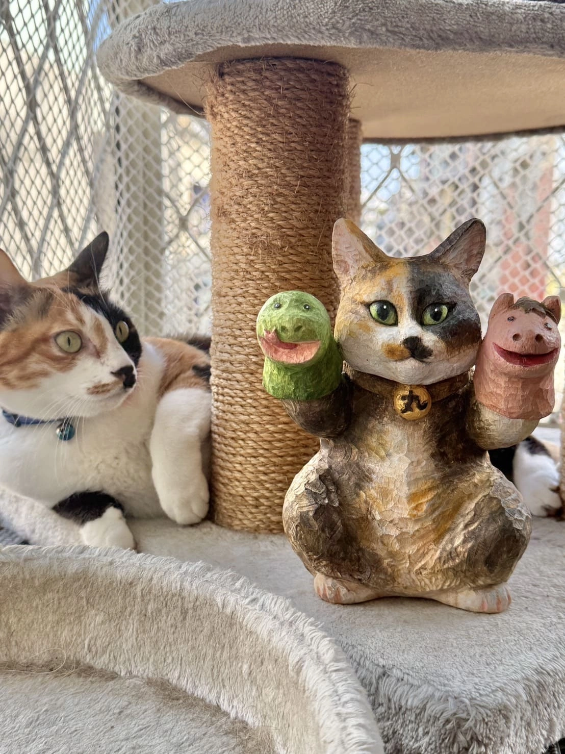 MUSE ARISTO 繆思雅集在規劃寵物健康宅時，拍攝寵物貓在貓抓柱旁的畫面